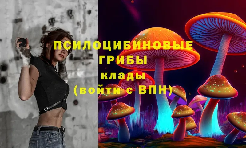 Псилоцибиновые грибы Magic Shrooms  omg зеркало  Белогорск 